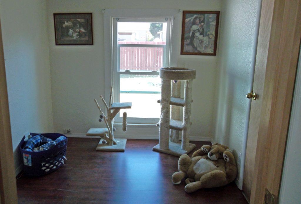 Photo of cat play room 